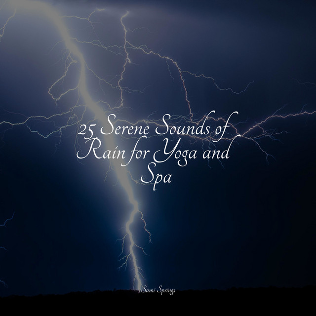 25 Serene Sounds of Rain for Yoga and Spa - Album by Soothing White ...