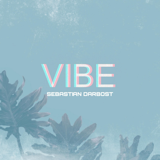 Vibe - Single by Sebastian Darbost | Spotify