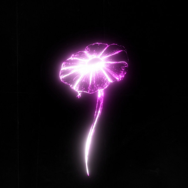 Luminous Drift