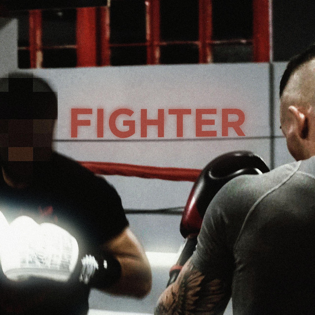 Fighter cover art