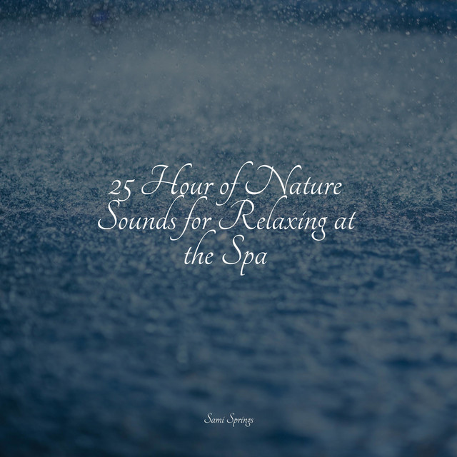 25 Hour of Nature Sounds for Relaxing at the Spa - Album by Kundalini ...