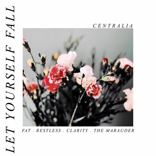 Let Yourself Fall cover