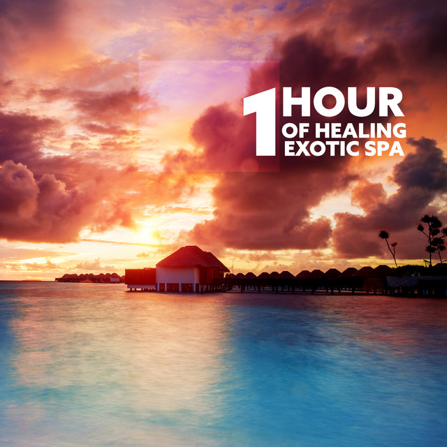 Connection with Earth: Spa Music cover art
