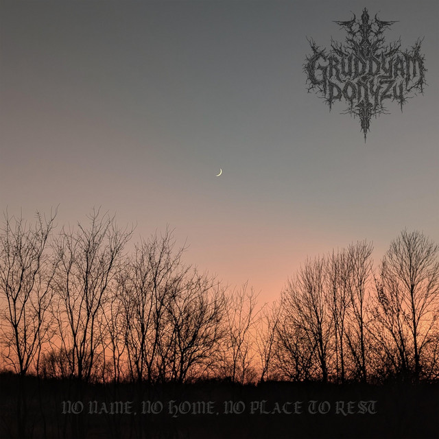 Обкладинка: No Name, No Home, No Place to Rest — Gruddyam Donyzu