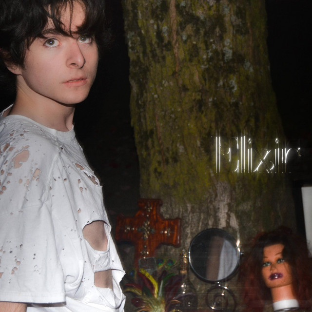 Elixir cover art
