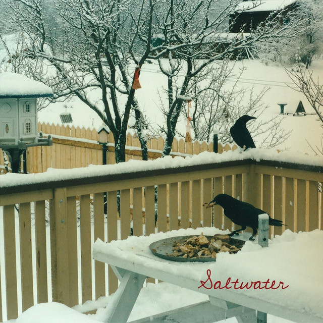 Saltwater cover