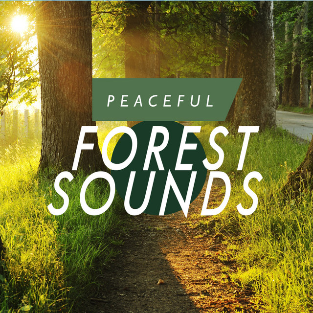 Peaceful Forest Sounds cover art