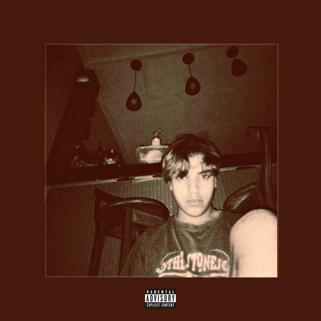 OS JOVENS NÃO QUEREM SER AMADOS cover art