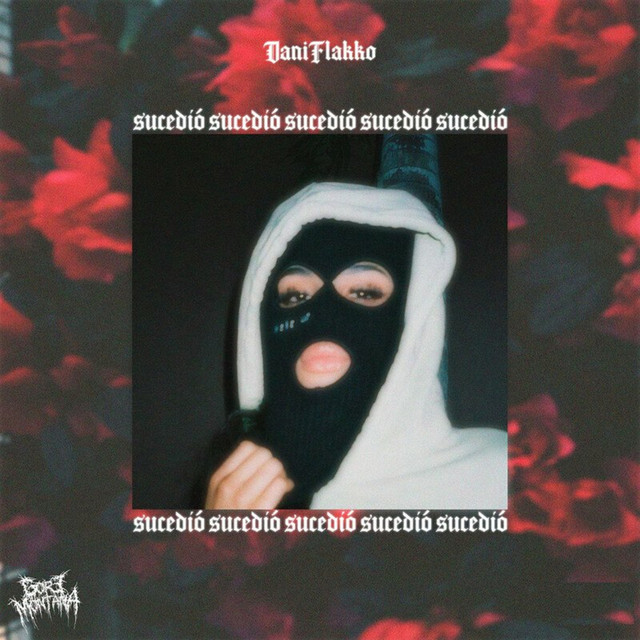 Sucedió cover art