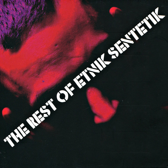The Rest of Etnik Sentetik cover art