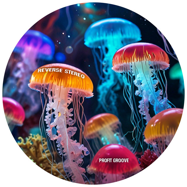 Reverse Stereo – Profit Groove