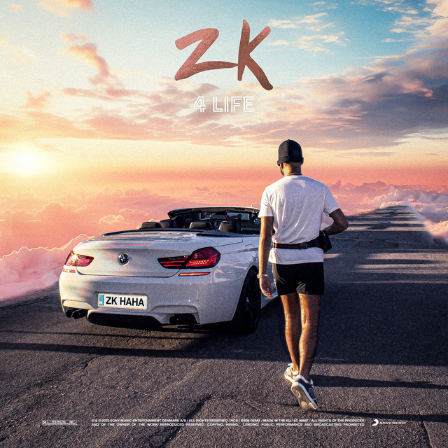 4 LIFE cover art