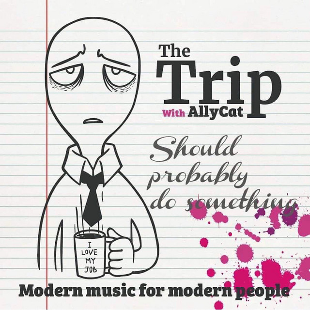 Should Probably Do Something (AllyCat Remix) cover art