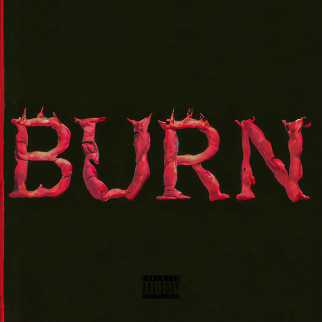 Burn cover art