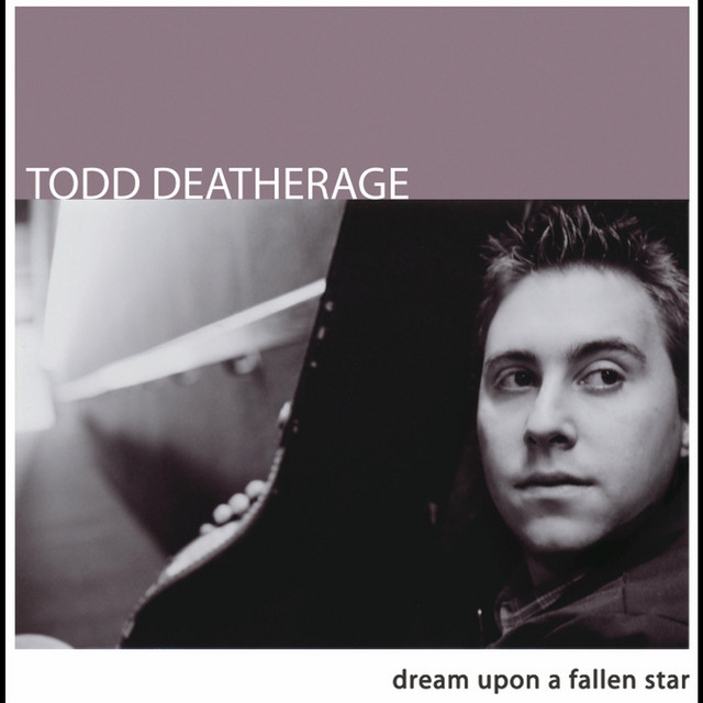 Dream Upon a Fallen Star cover