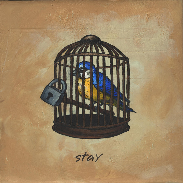 Stay cover