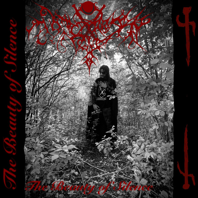 The Beauty of Silence cover art