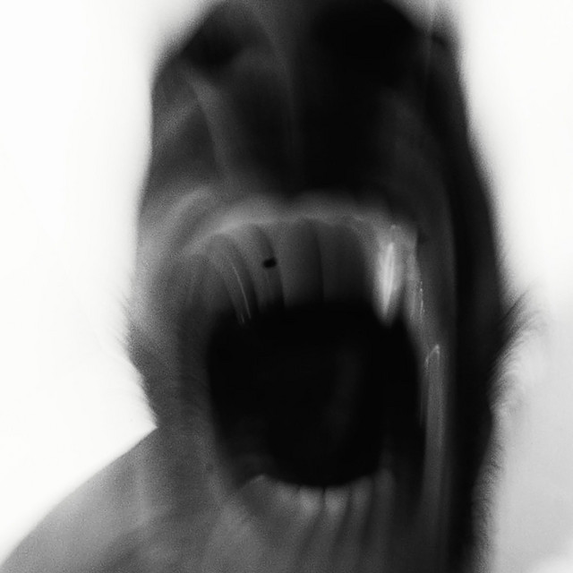 Nachtblind cover art