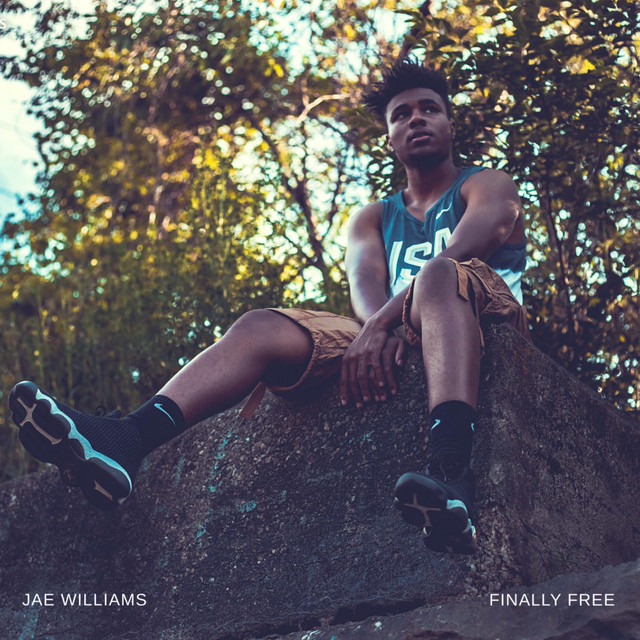 Finally Free cover art