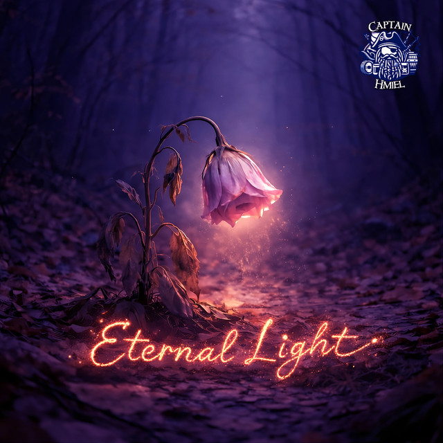 Обкладинка: Eternal light - Instrumental — Captain Hmiel