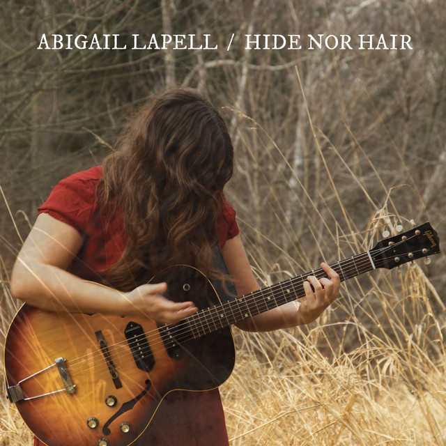 Hide nor Hair cover art