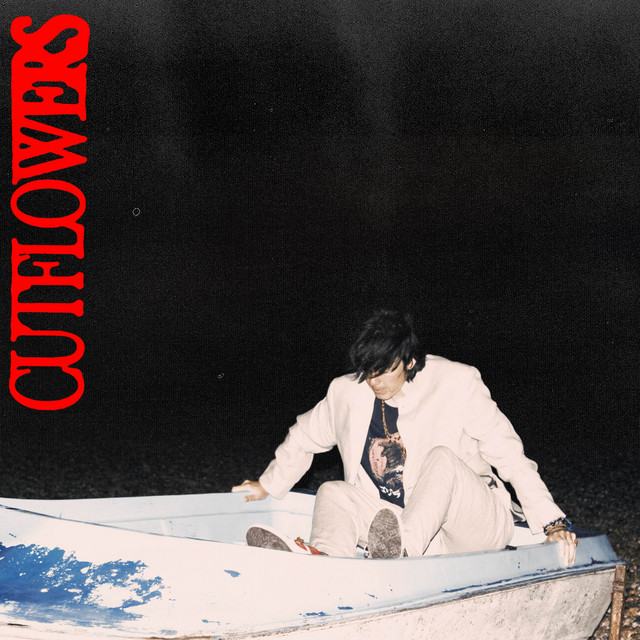 Sailor cover art
