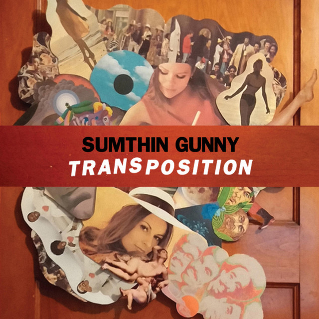 Transposition cover