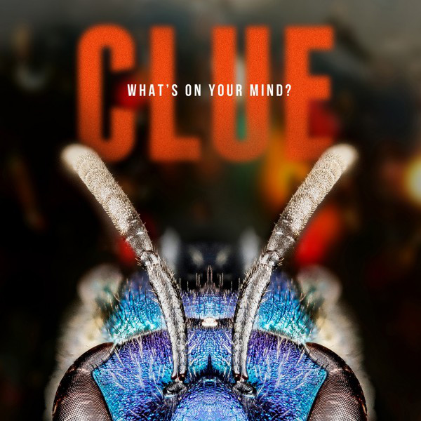 What's on Your Mind? cover art