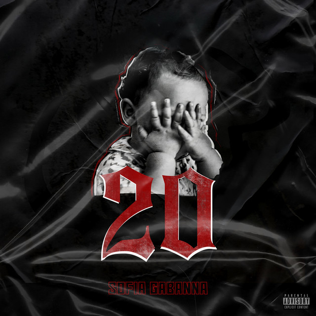 20 cover art