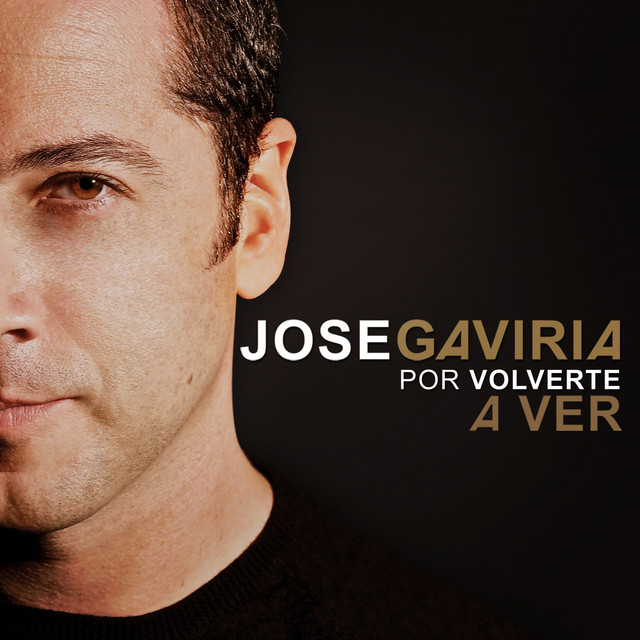 Por Volverte a Ver