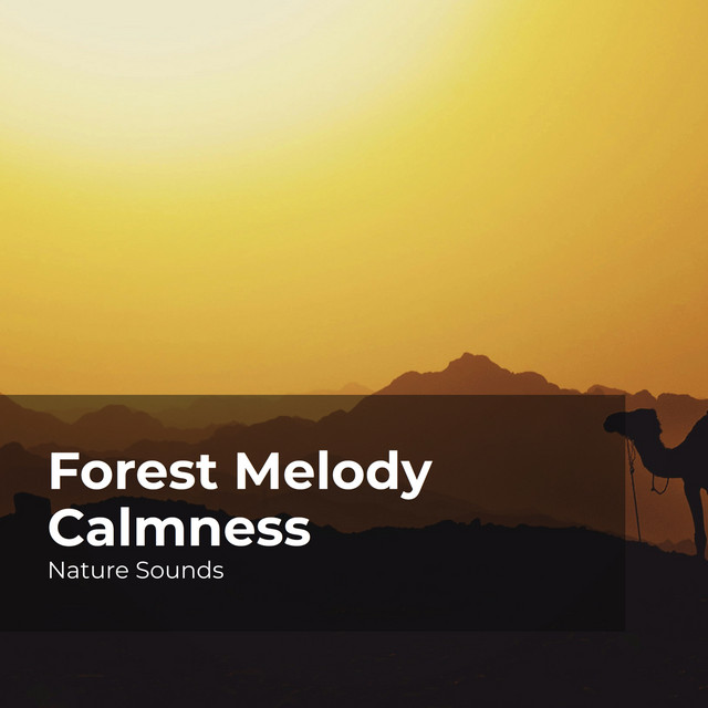 Forest Melody Calmness cover art