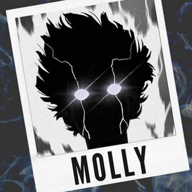 Molly - Guitar Remix