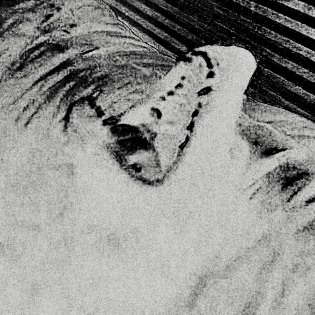 Saturnalia cover art