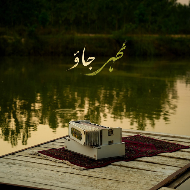 haidi