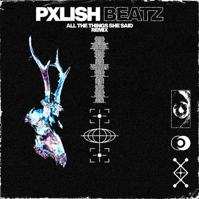 ALL THE THINGS SHE SAID - Pxlish Beatz Remix