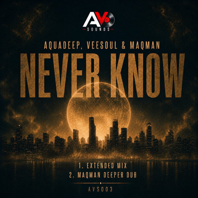 Never Know cover