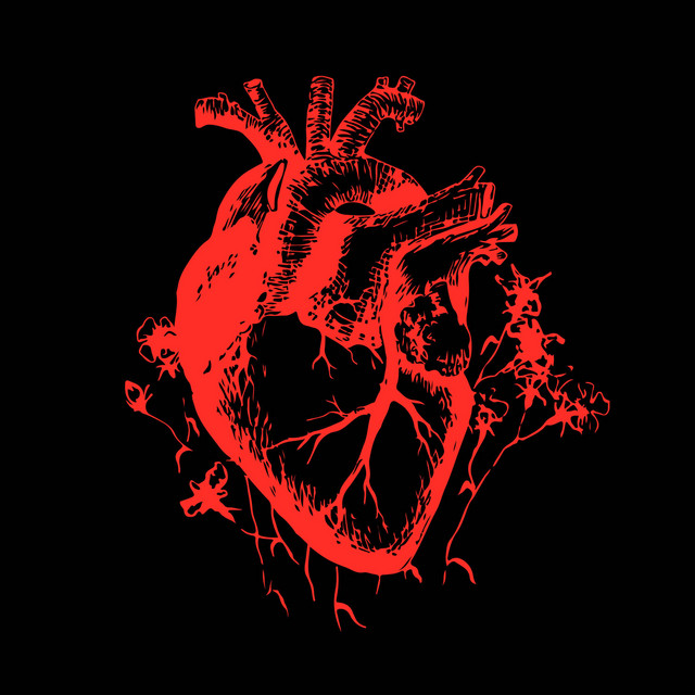 Jerry And The Heartbreak Company