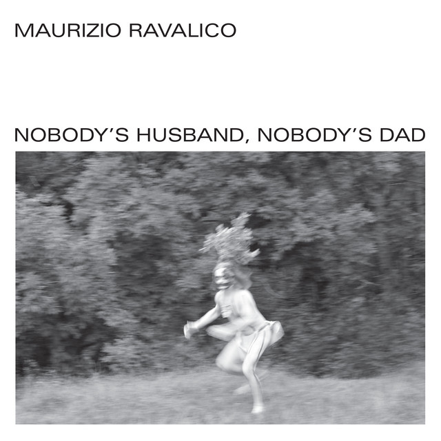 Nobody's Husband, Nobody's Dad cover art