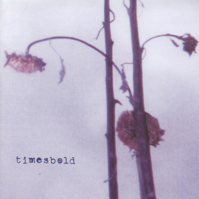 Timesbold cover art