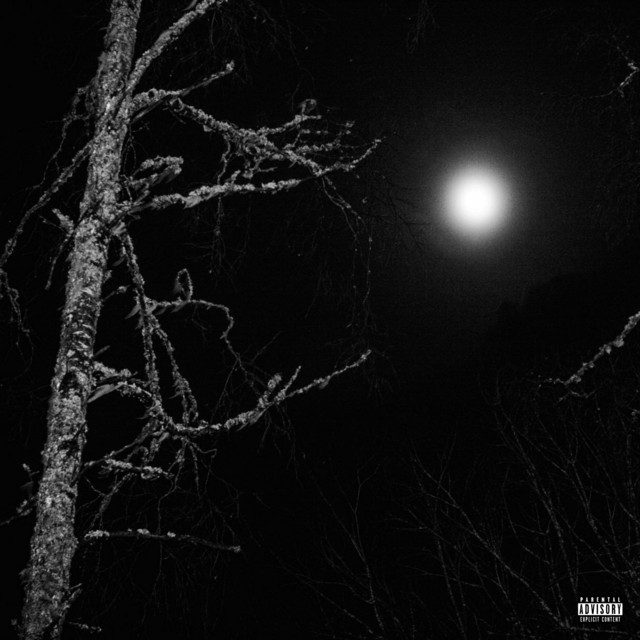 MOON EARTH VISION cover art