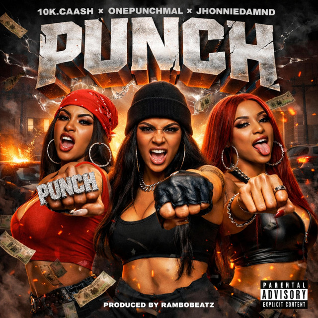 PUNCH cover