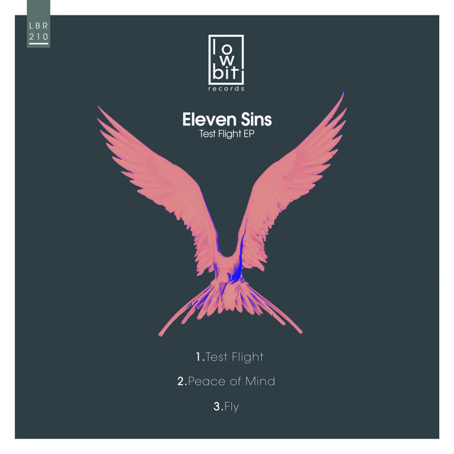Fly album art