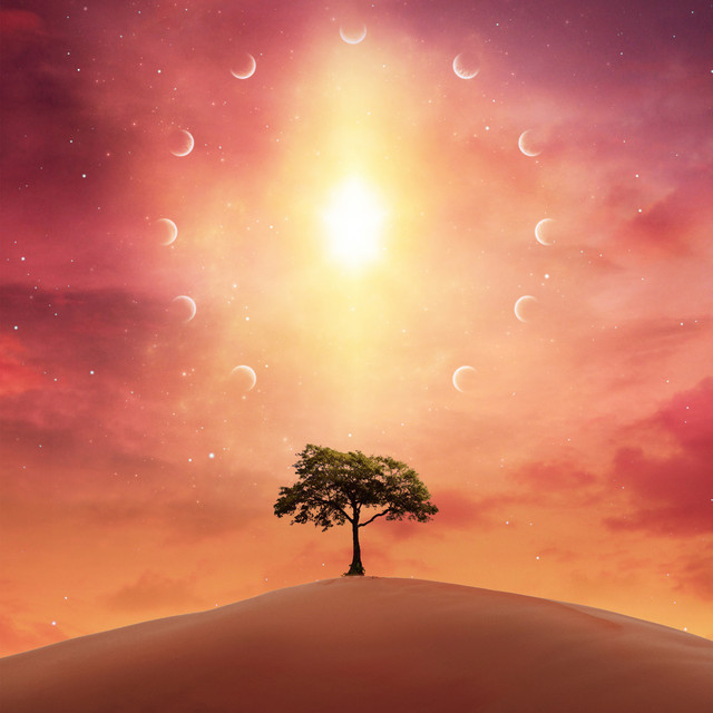 The Winds of Summer cover art