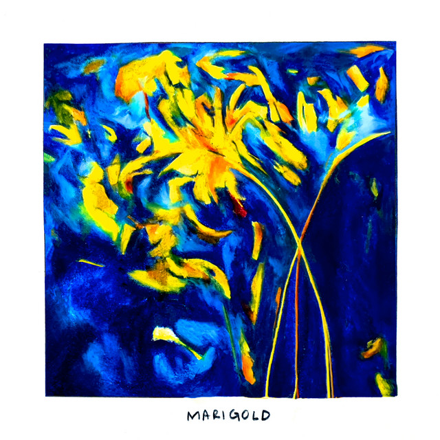Marigold
