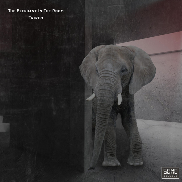 The Elephant in the Room cover art