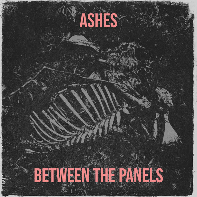 Ashes cover art