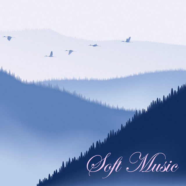 Soft Music Specialists