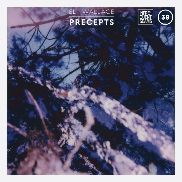 Precepts cover art