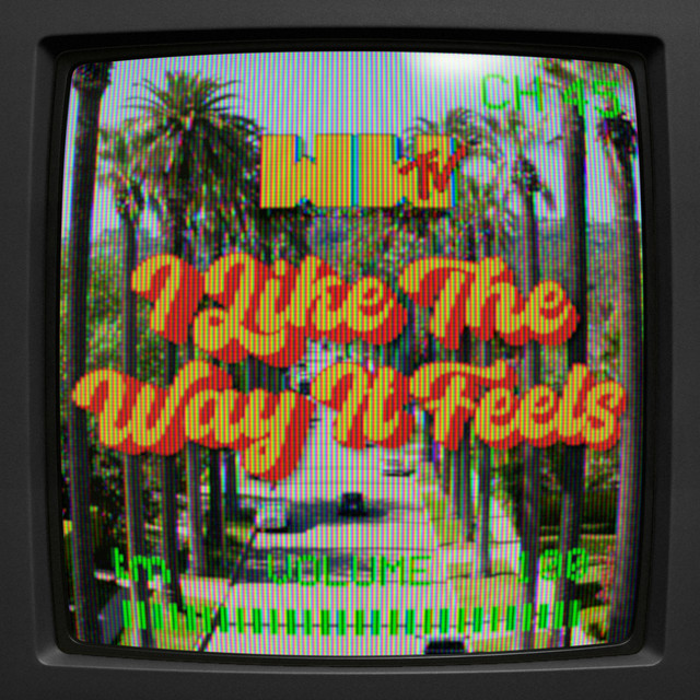 I Like The Way It Feels
