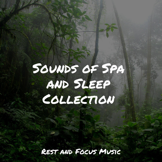 Sounds of Spa and Sleep Collection - Album by Kings of Nature | Spotify